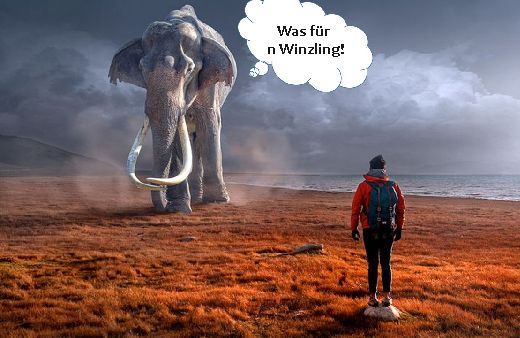 Tierische Gedanken