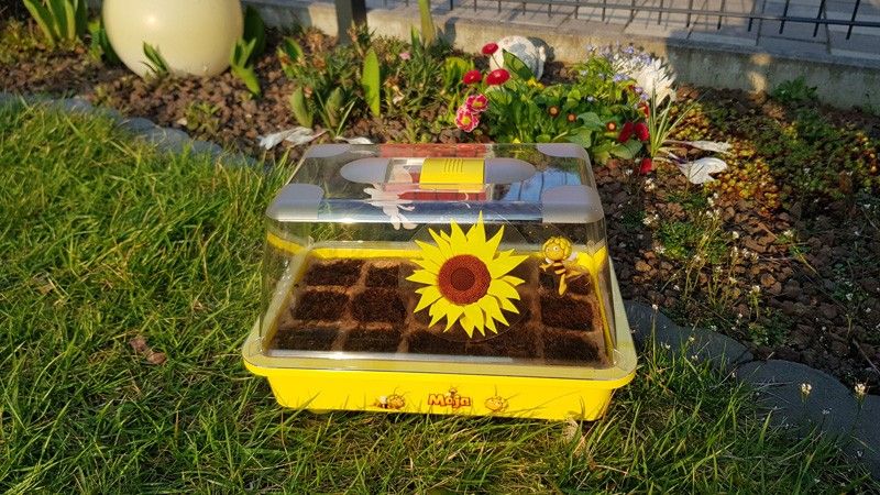 Lass Blumen blühen