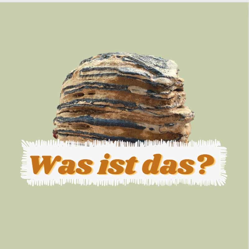 Steinzeit - Auflösung 