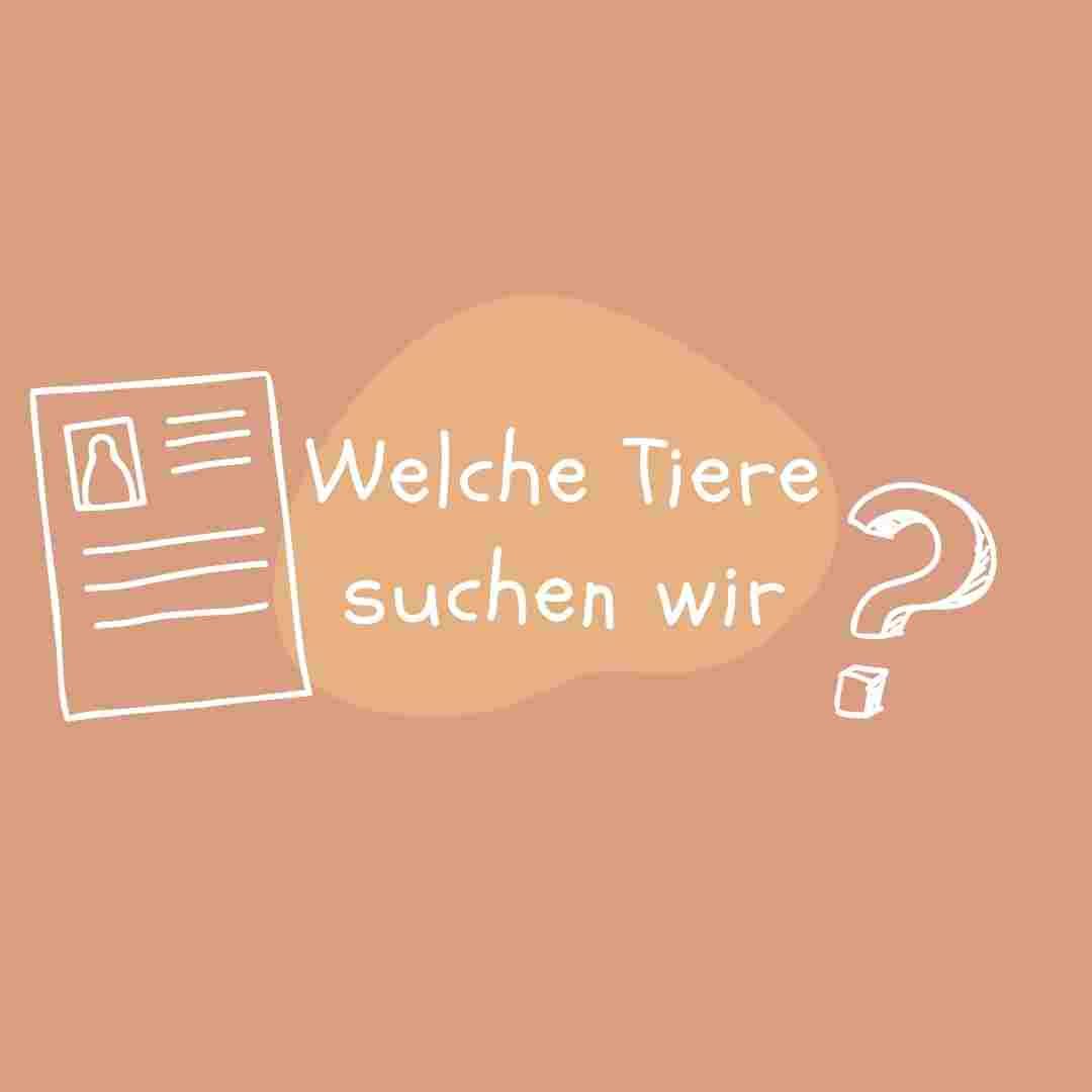 Kannst du die Tiere erraten?