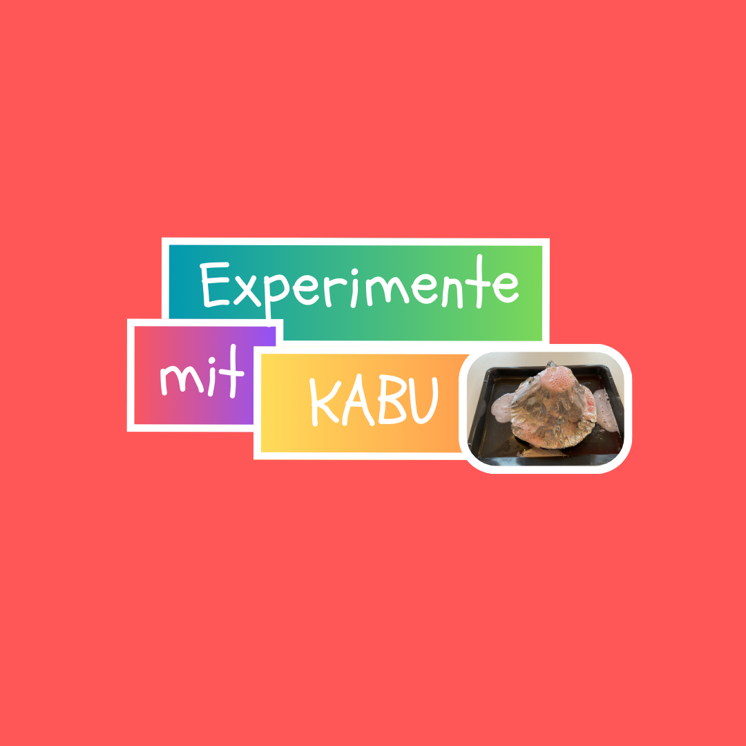 4. Advent: Das Vulkan-Experiment