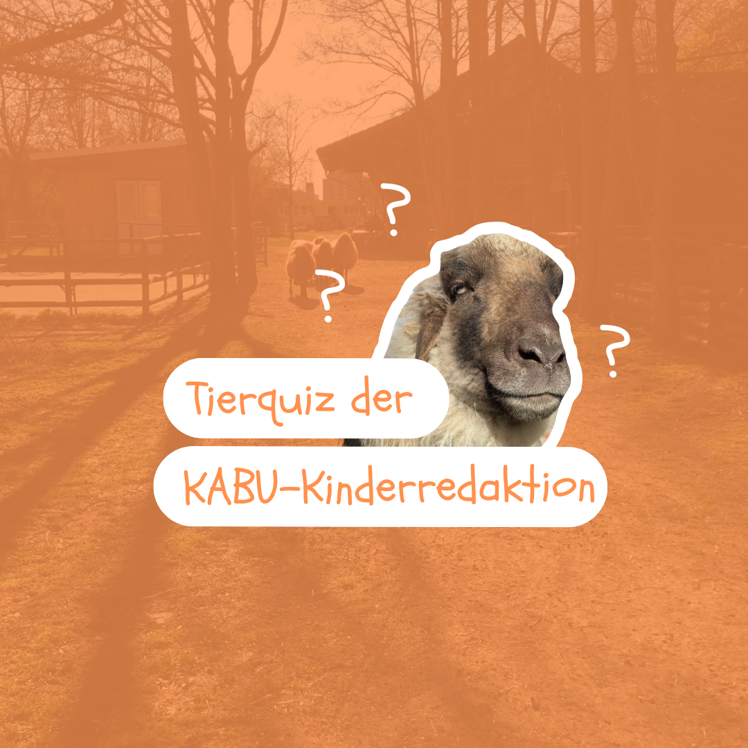 Tierquiz