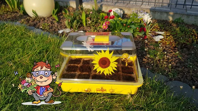 Dateiname des Bildes: 202032_Blumen-Vorschaubild2