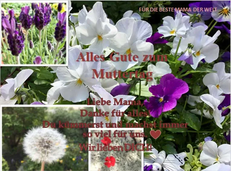 Dateiname des Bildes: 202243_Muttertag_2