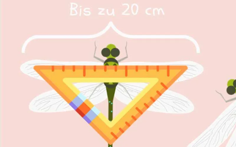Dateiname des Bildes: 202272_Geo