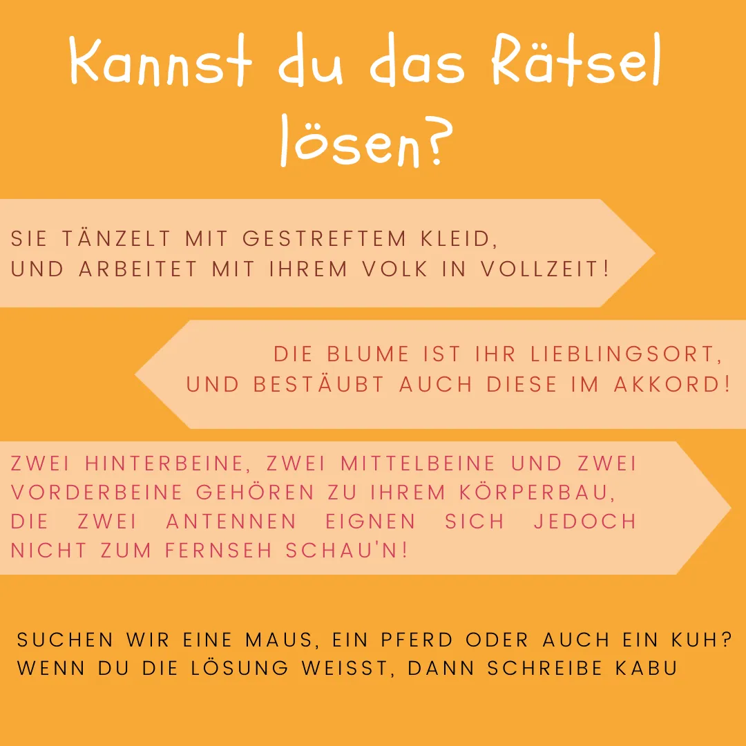 Dateiname des Bildes: 202361_119