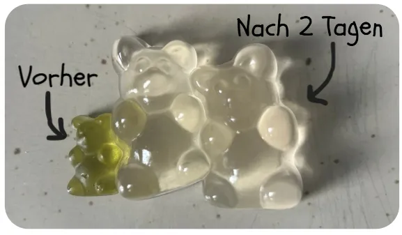 Dateiname des Bildes: 2025100_vorher_Nachher