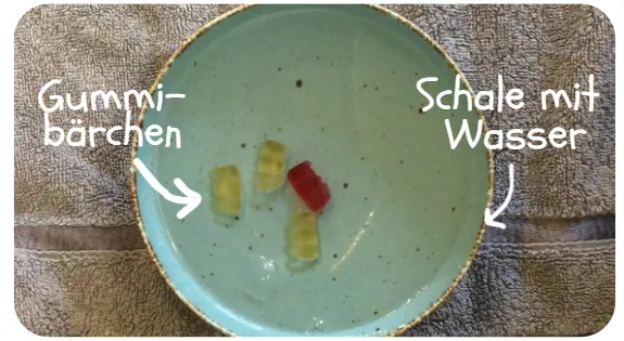Dateiname des Bildes: 2025100_was man braucht