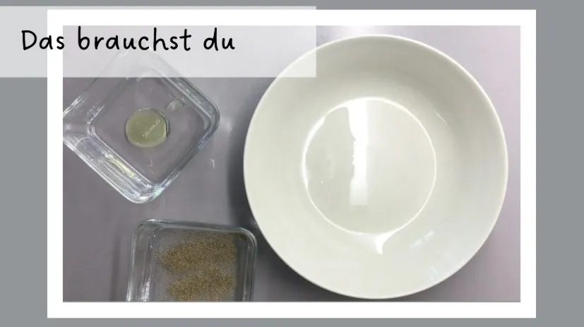 Dateiname des Bildes: 2025114_Foto1