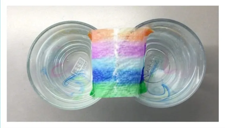 Dateiname des Bildes: 2025115_regenbogen