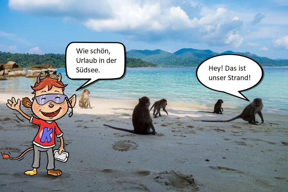 Dateiname des Bildes: Affen2