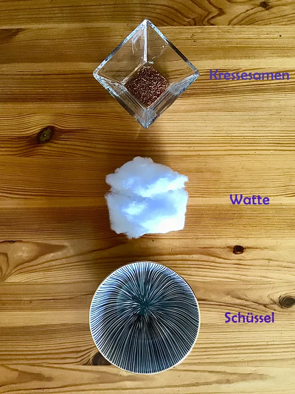 Dateiname des Bildes: Kresse1