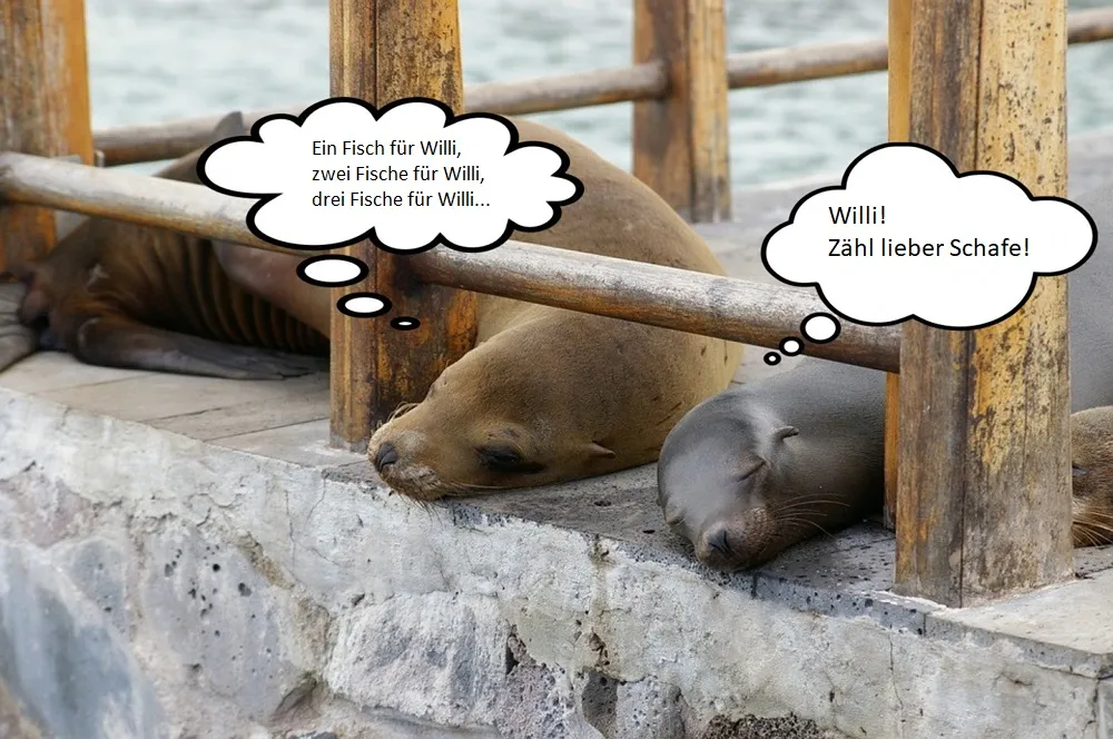 Dateiname des Bildes: Robben2