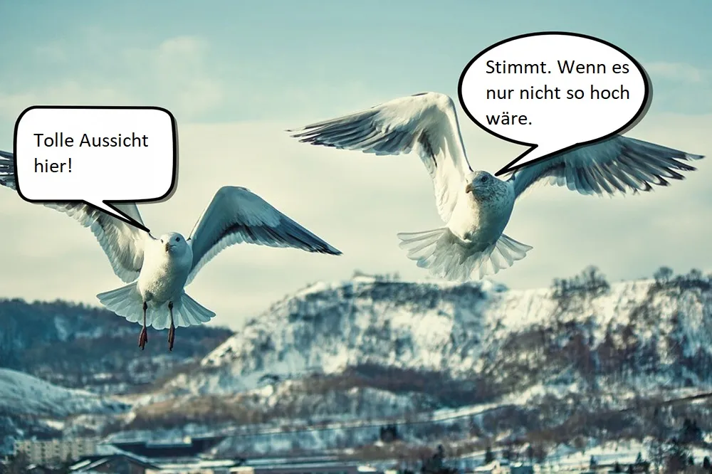 Dateiname des Bildes: Vögel3